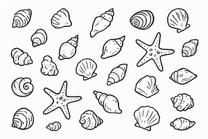 Marine life seashells and starfish b, a Photo by Dvoevnore photos