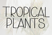 Tropical Handmade, a Serif Font by InermediaSTUDIO (Thumbnail 4 of 8)