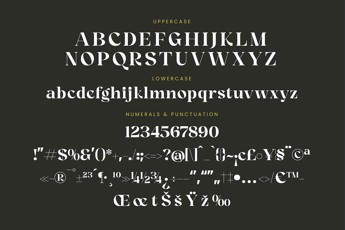 Angfia Relaftio Modern Serif Font, a Script Font by Letterena Studios (Photo 13 of 15)