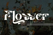 Celestial Planting - Modern Serif, a Serif Font by 177Studio (Thumbnail 6 of 8)