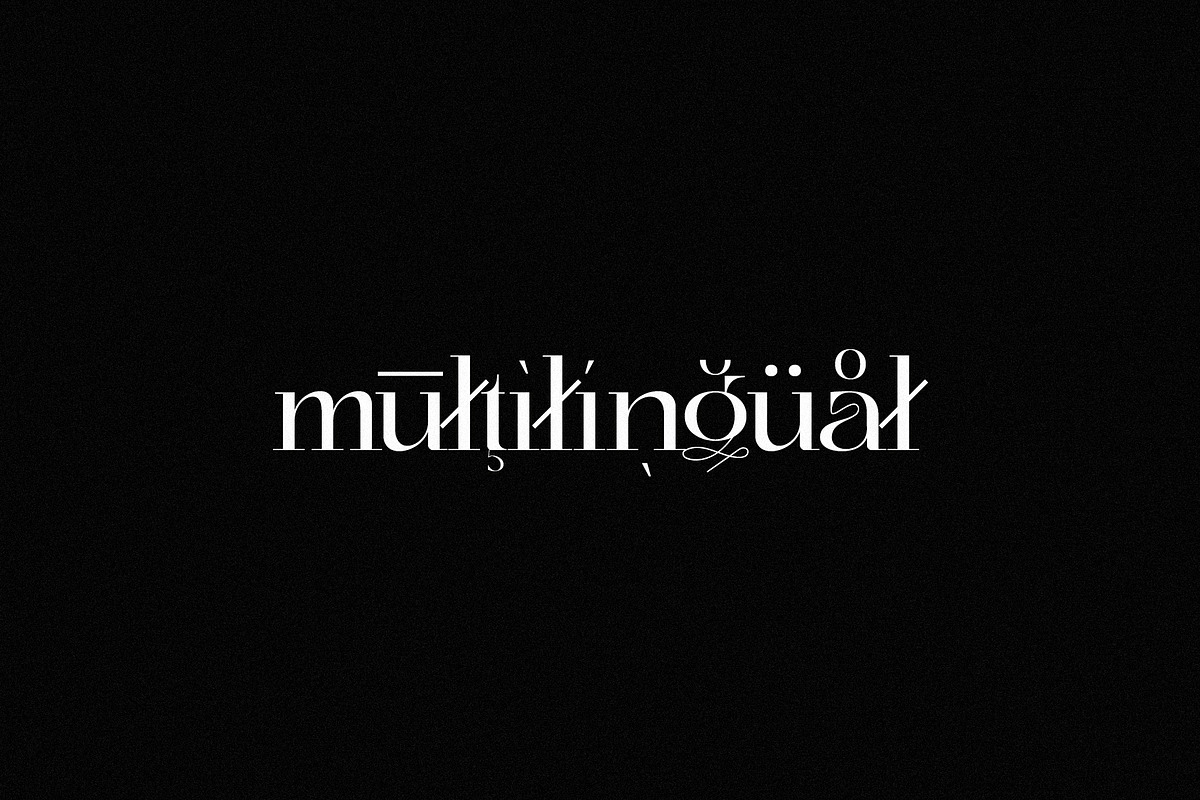 Dynasty - Curly Display Serif, a Serif Font by subkulturetype (Photo 8 of 8)