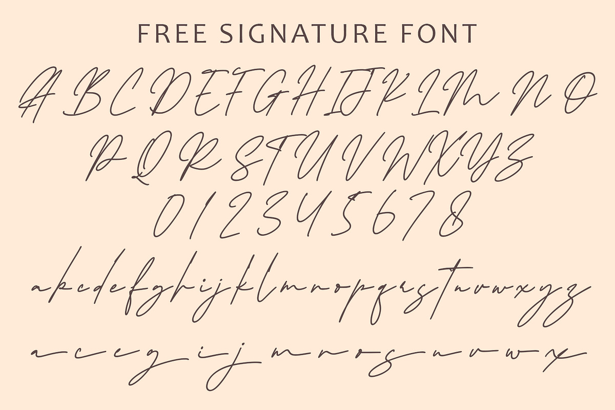 Tropicane - Stylish Typeface, a Font by HeyFonts (Photo 11 of 12)