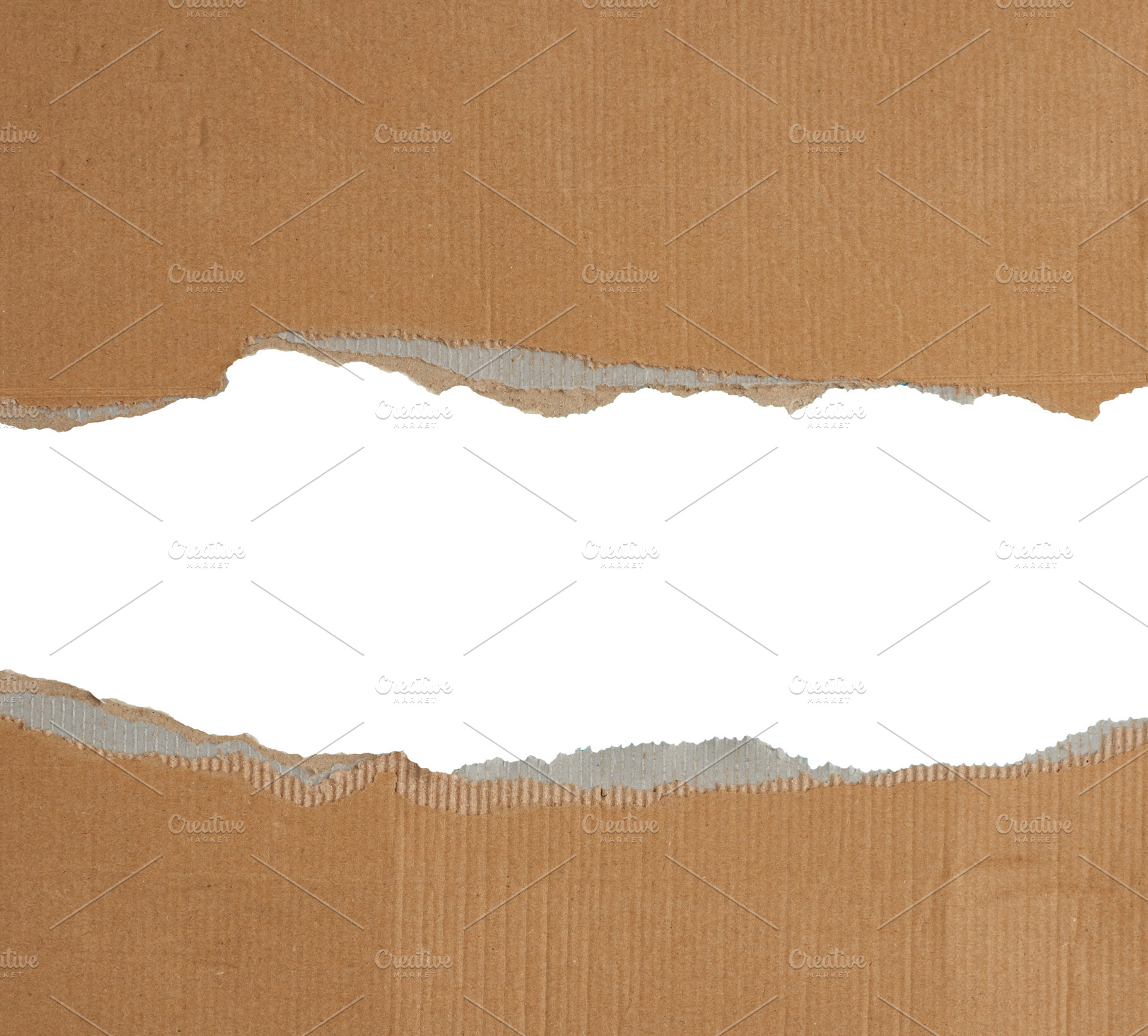 Torn edges of brown paper on a white background, space for writi, a Background Photo by ndanko