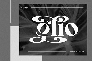 Bayllin Unique Serif Typeface