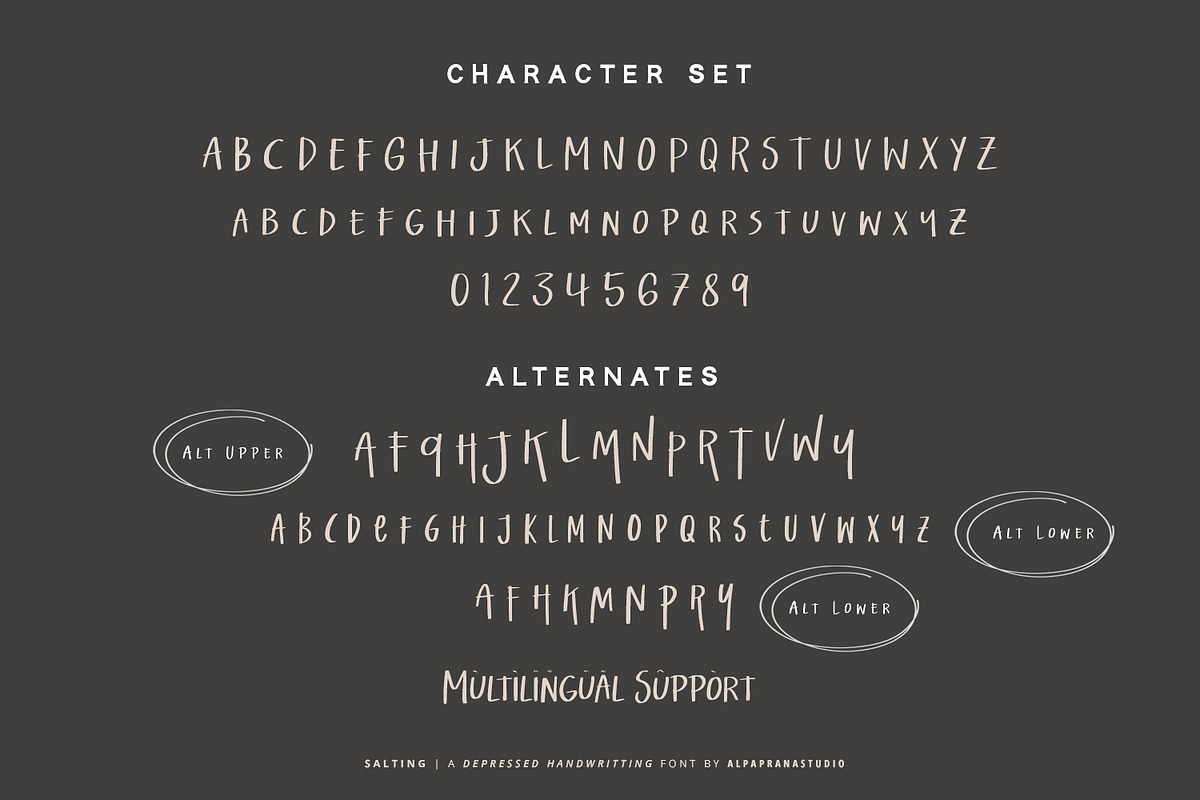 Salting - Handwritten Font, a Handwritten Font by Alpaprana (Photo 8 of 9)