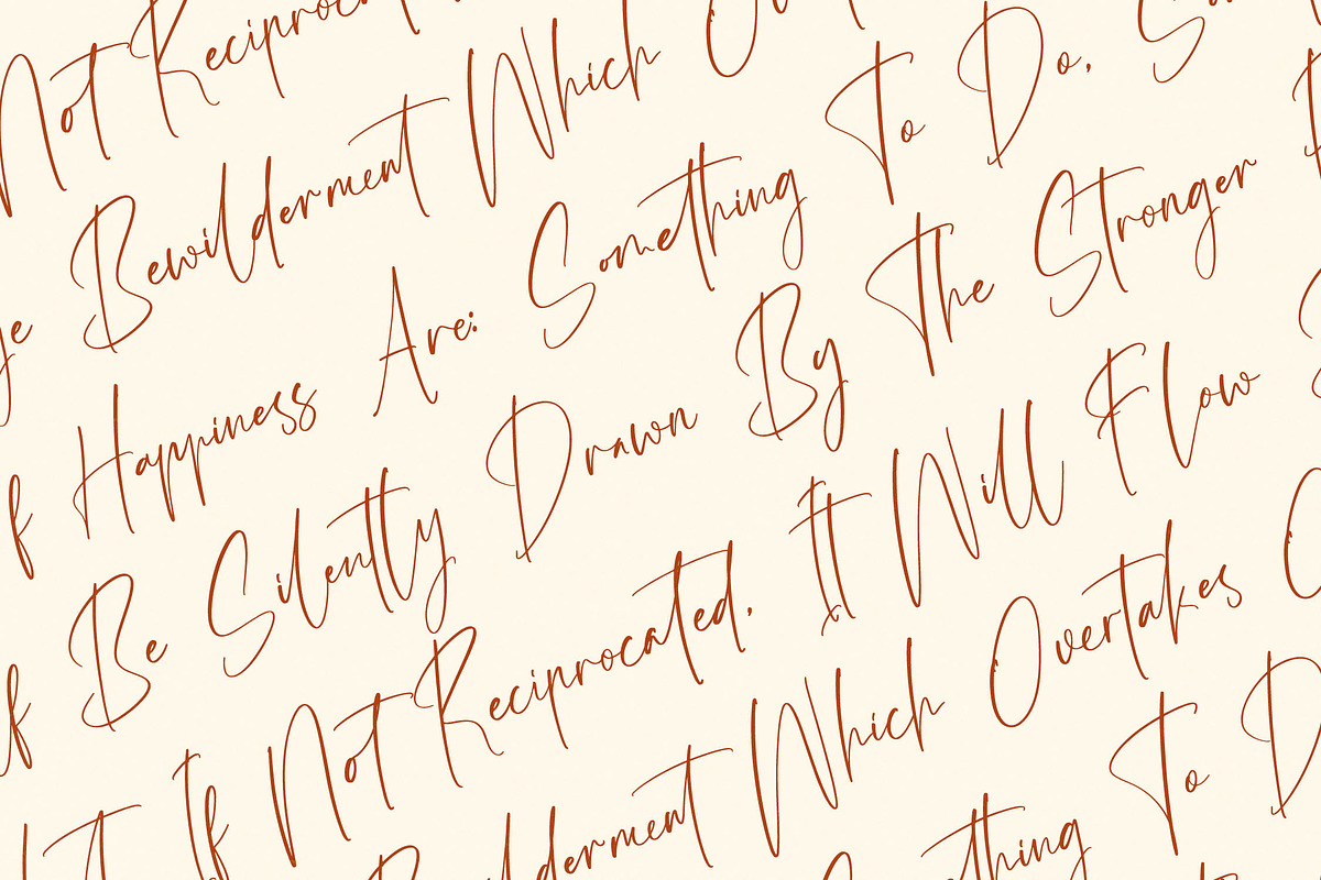 Amsterdam Silhouete Modern Script, a Script Font by stylishtype.co (Photo 13 of 20)