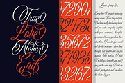 Sholaria, a Script Font by Subqi Std (Thumbnail 4 of 9)