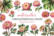 Watercolor chrysanthemum clipart, an Illustration by Libby Wishes (Thumbnail 1 of 5)