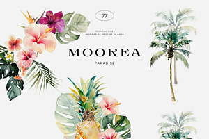 Moorea - Tropical Summer Set