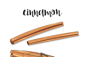 Cinnamon isolated in sketch. Spice