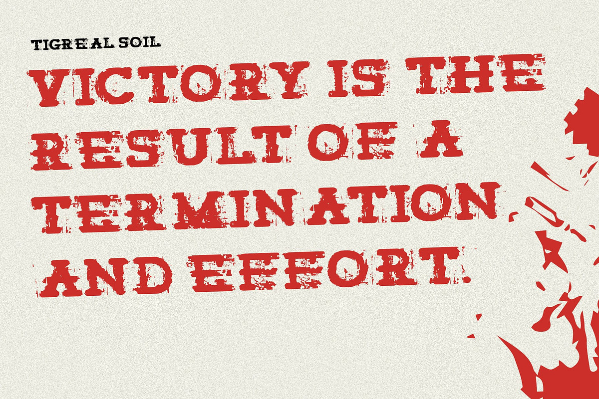 Tigreal Soil, a Slab Serif Font by Craft Supply Co. (Photo 2 of 8)