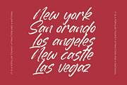 Dummy Catidays Handwritten Brush, a Script Font by Letterena Studios Script (Thumbnail 11 of 20)