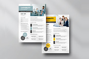 Business Capability Statement, A4, a Brochure Template by Niofix (Thumbnail 3 of 8)