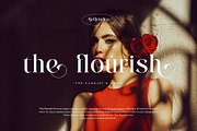 Sellendra – Elegant Display Serif, a Serif Font by BrandSemut (Thumbnail 3 of 10)