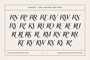 Charles - Ligature Serif Font Family, a Serif Font by SilverStag Type Foundry (Thumbnail 29 of 32)