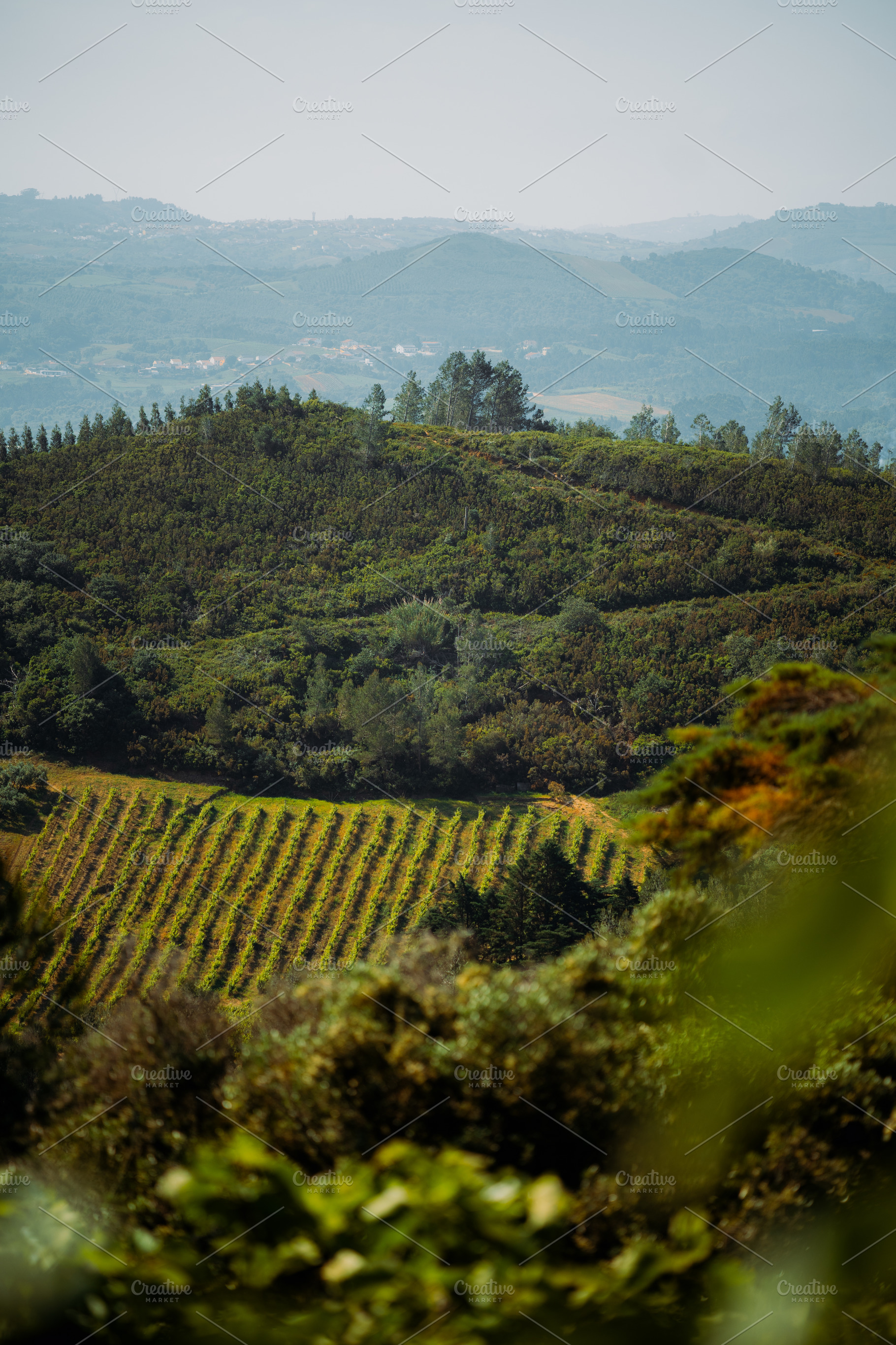 Iberian Hillside Landscape, a Nature Photo by SkyNext