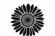 Floral Flower Vector Collection, an Illustration by Designer_Momina (Thumbnail 2 of 9)