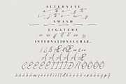 Brush Renytha, a Script Font by Integritype Studio (Thumbnail 9 of 10)