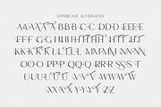 Marie Cortney, a Serif Font by Stripes Studio (Thumbnail 5 of 14)