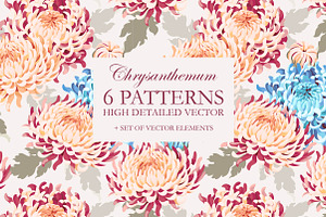 Chrysanthemum Patterns