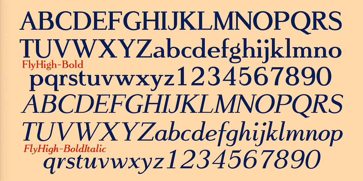 FlyHigh, a Slab Serif Font by Ingrimayne Type (Photo 9 of 10)