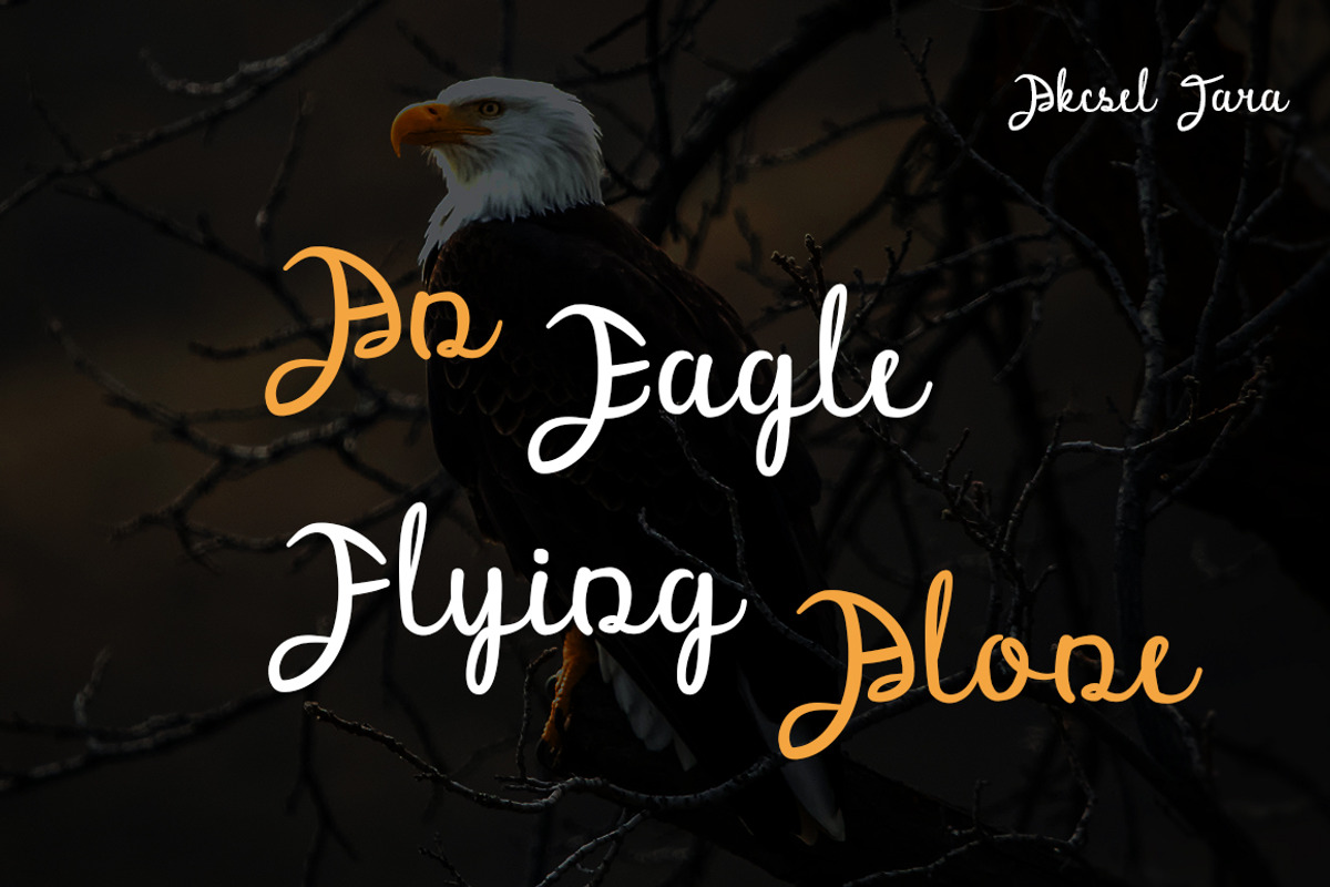 Malpisto - Stylish Script Font, a Script Font by Akcsel Tara (Photo 8 of 12)