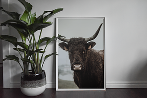 Frame Mockup Bundle - Burro