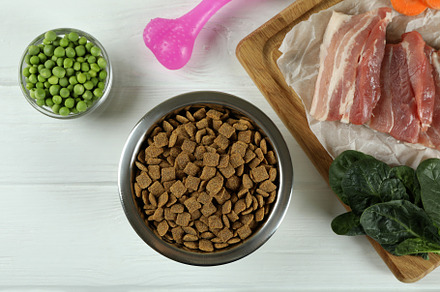 Concept of organic pet food on wooden background, a Food & Drink Photo by AtlasStudio PRO