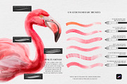 Watercolor Realistic Soft Brushes, a Brush Add-On by Spasibenko Art (Thumbnail 3 of 14)