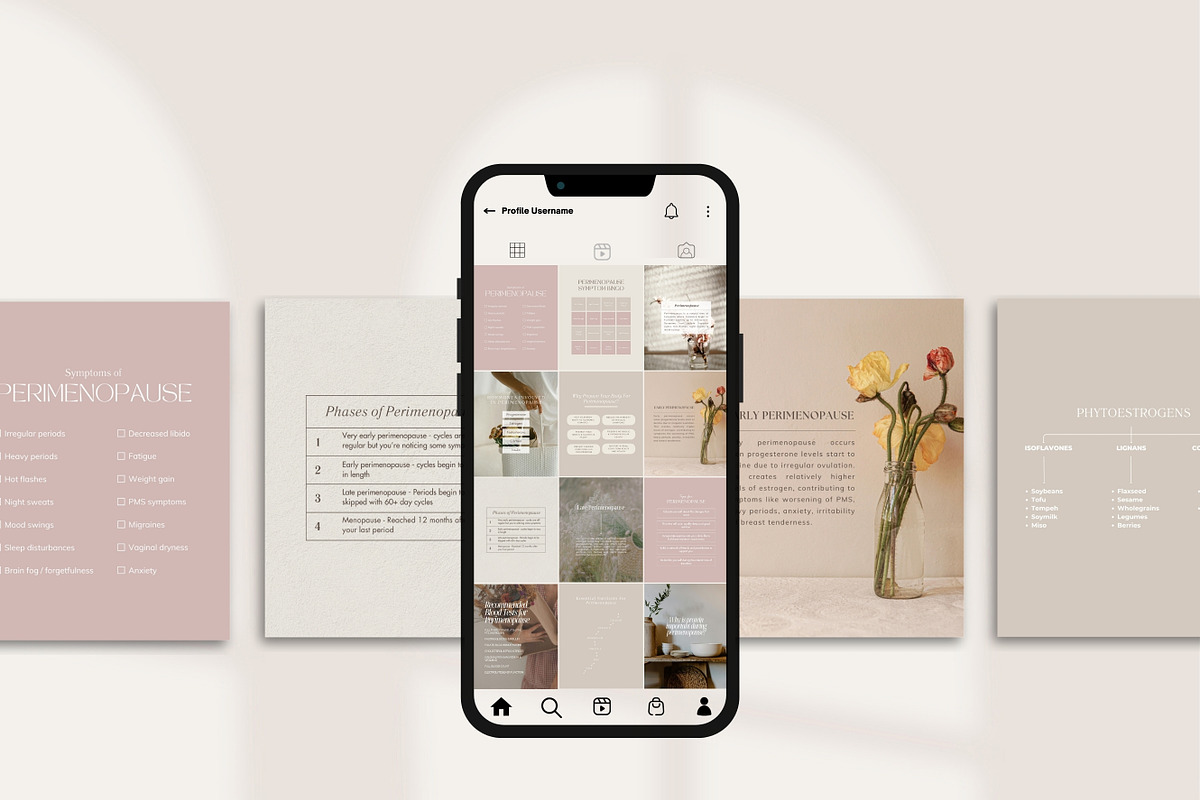 Menopause Canva Template Bundle, a Social Media Template by Naturopath Hub (Photo 3 of 10)