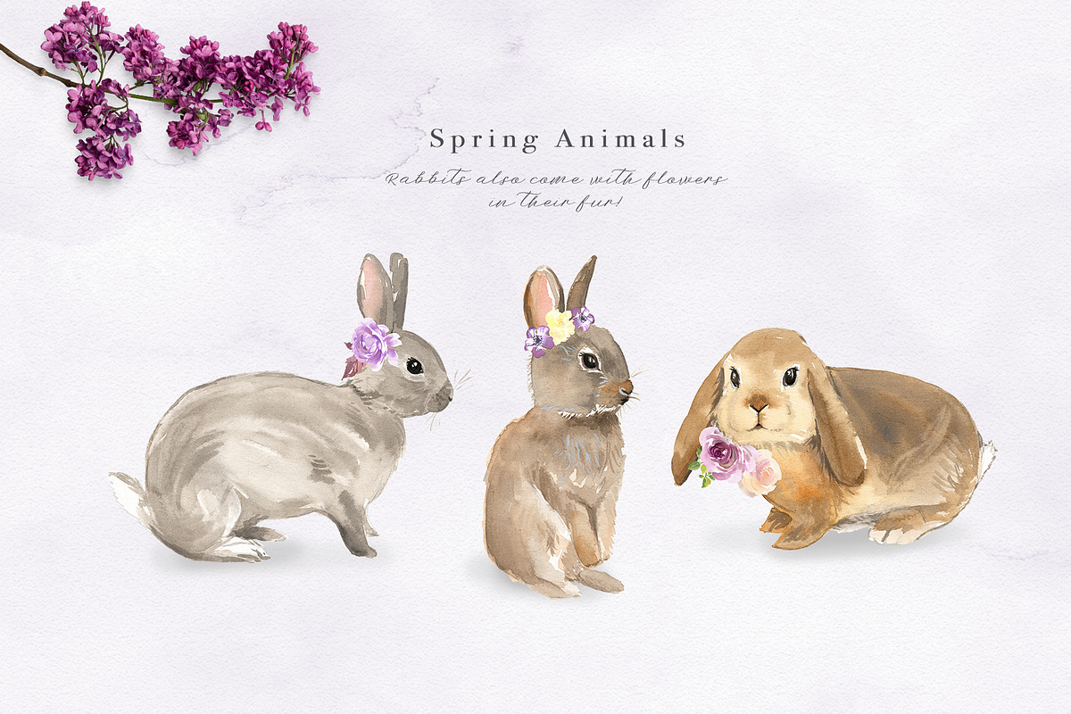 Spring & Easter Clipart, an Illustration by Twigs and Twine (Photo 7 of 17)