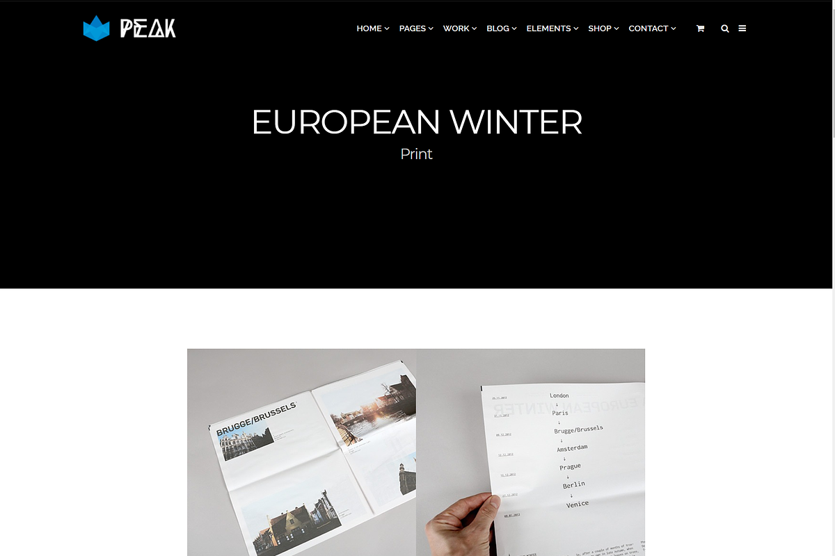 Peak Premium Agency WordPress Theme, a WordPress Template by Visualmodo (Photo 13 of 18)