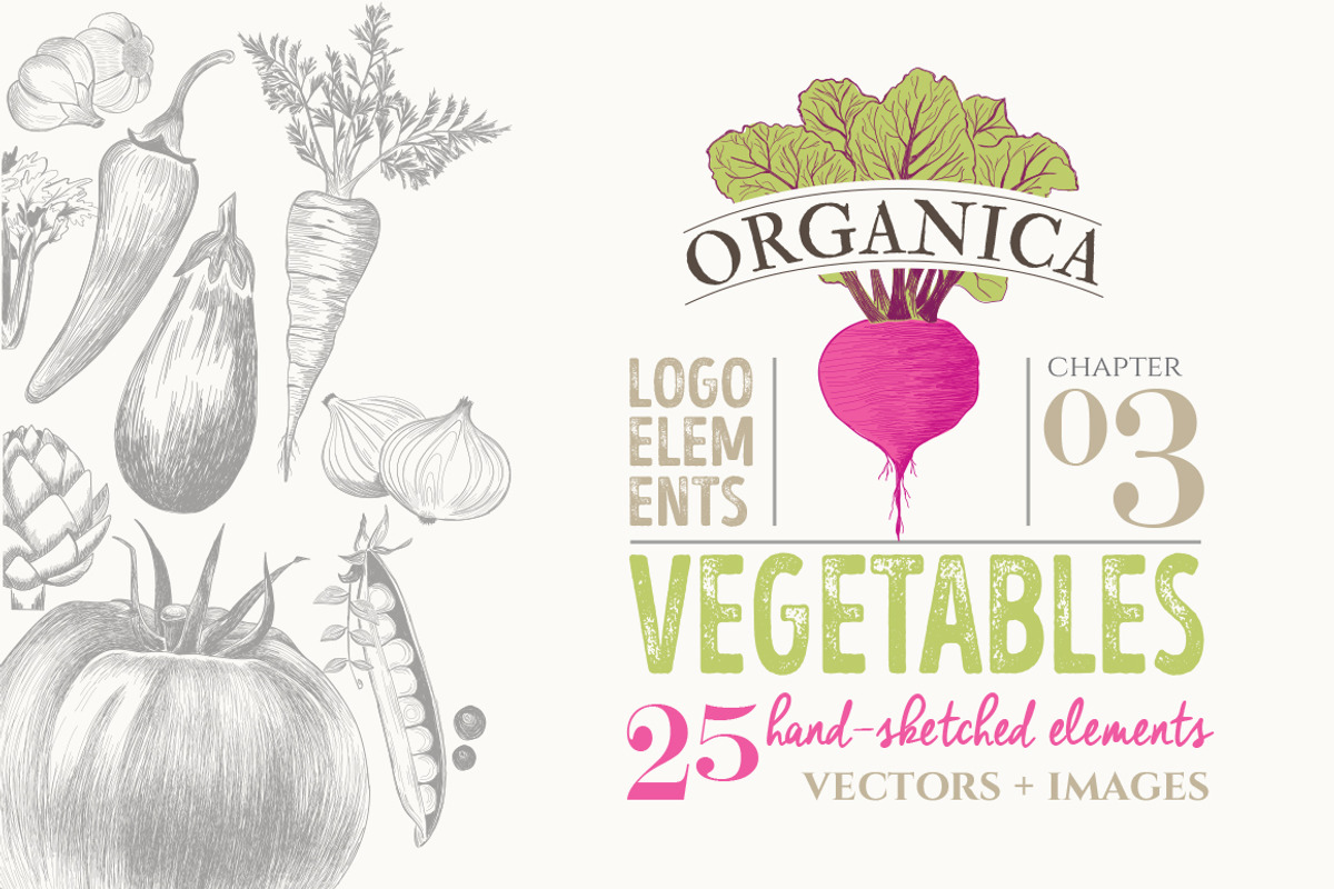 ORGANIC LOGO ELEMENTS – VEGETABLES, an Illustration by Friendly Label (Photo 1 of 6)