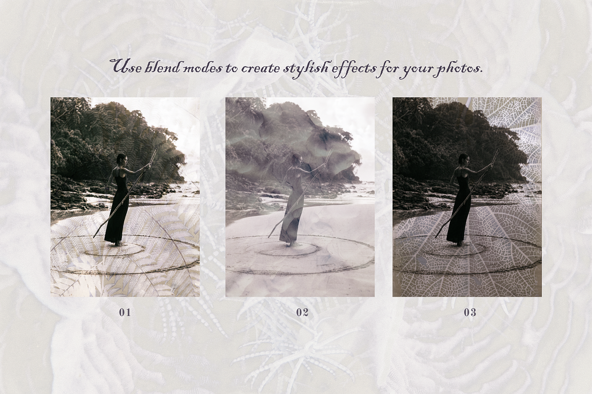 Ethereal Nature Archive Backgrounds, a Background Graphic by Natali Batu (Photo 7 of 9)