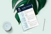 Nurse Resume Template | Nursing CV, a Resume Template by HIRED Design Studio (Thumbnail 11 of 12)
