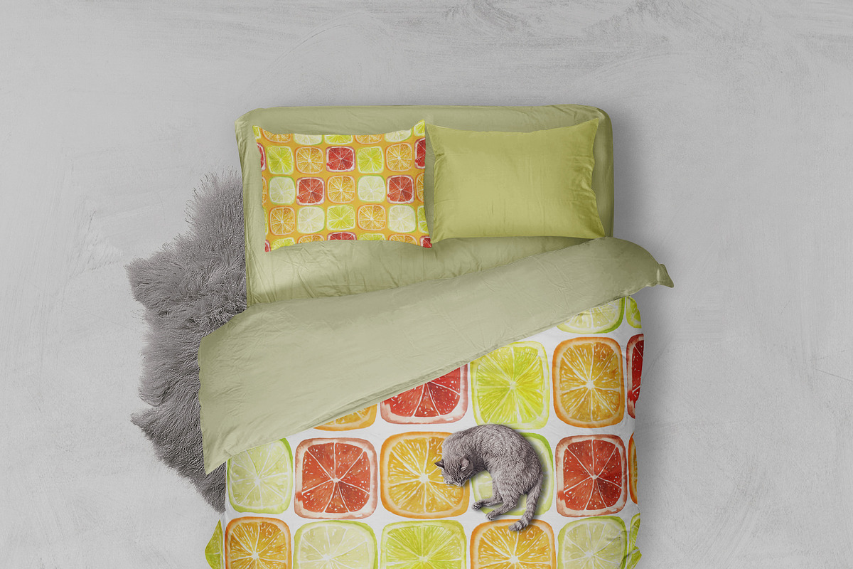 Set of watercolor citrus fruits, an Illustration by Elena Dorosh (Photo 6 of 6)