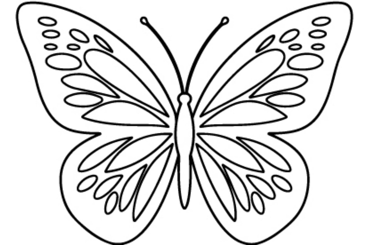 Butterfly SVG Bundle, an Object Graphic by Gfx_Store (Photo 3 of 16)