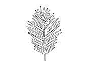 Palm Leaves svg, Botanical png, a Decorative Illustration by Watercolor_Vector Graphic (Thumbnail 16 of 25)