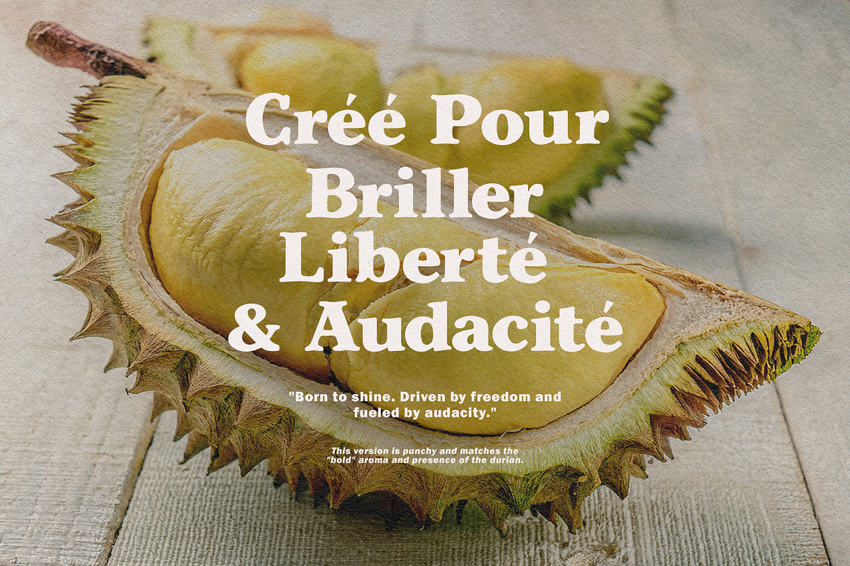 Chorepo Casual Serif Display Font, a Serif Font by Maulana Creative (Photo 3 of 7)