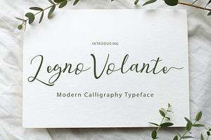 Legno Volante Script, a Handwritten Font by Eltypesstudio