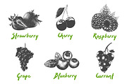 Set of 42 healthy food objects, a Decorative Illustration by Akimo Mia (Thumbnail 8 of 9)