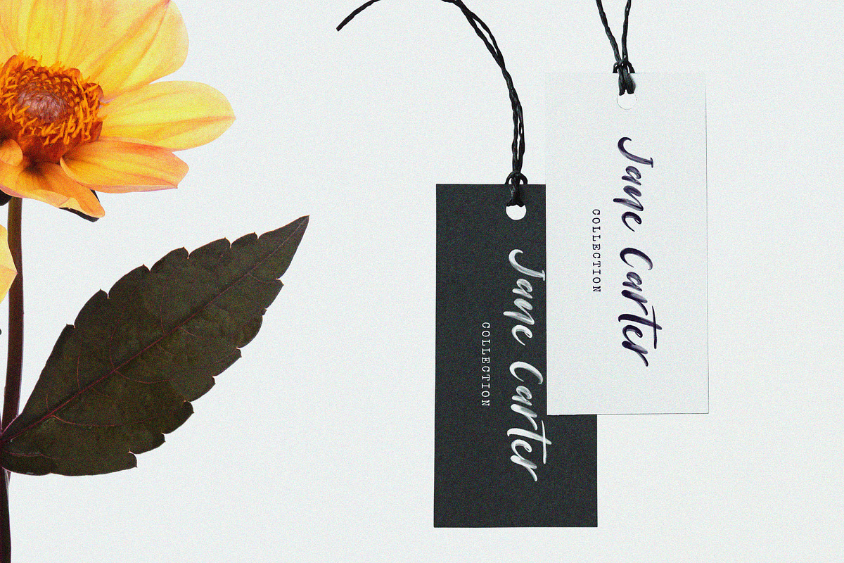 Palmist - SVG Script Font, a Script Font by Prioritype Co (Photo 7 of 10)