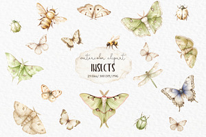 Luna Moth Watercolor Clipart