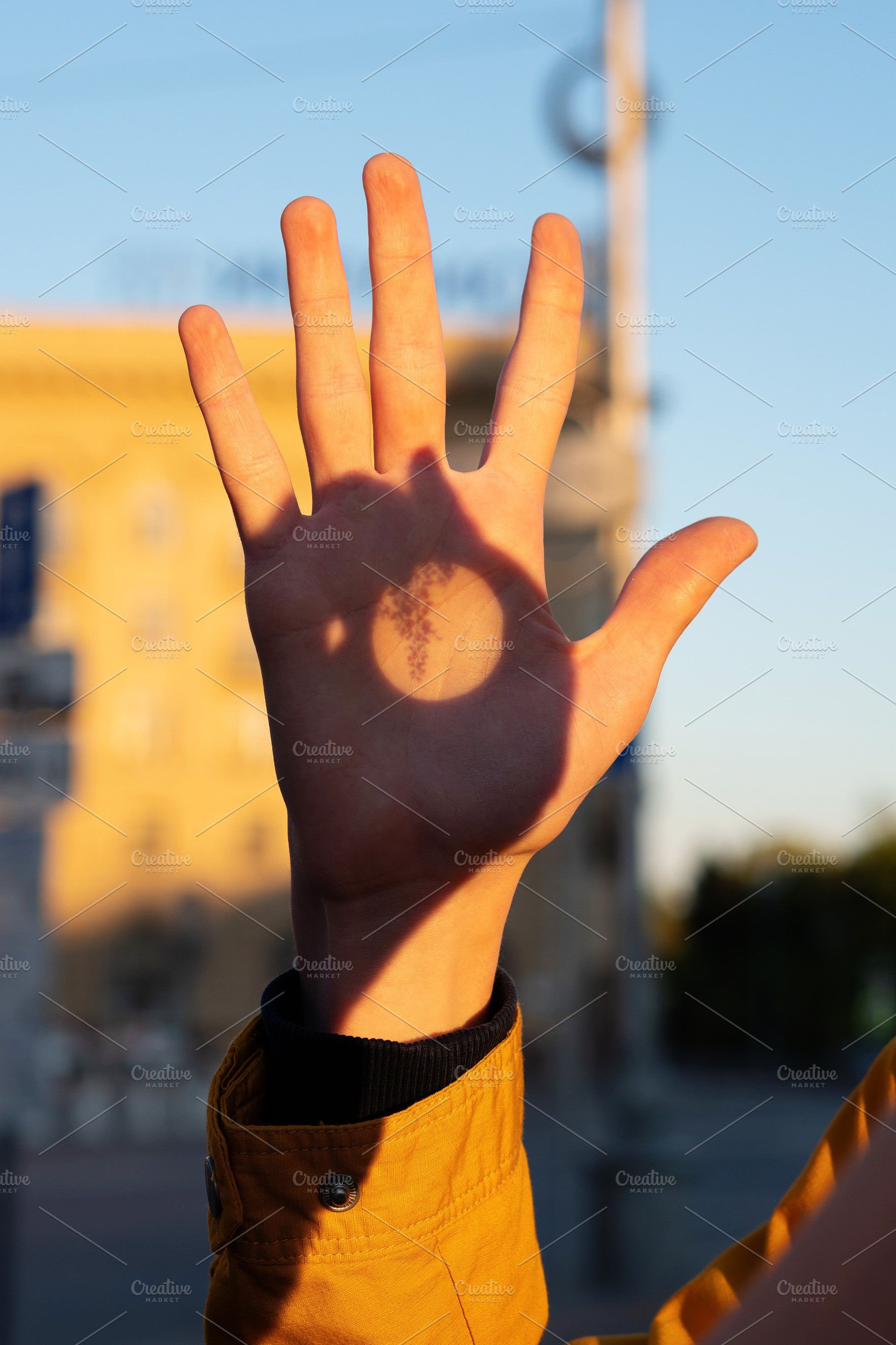 Vertical close-up of hand with plant, a Wallpaper Photo by Elena Vagengeim