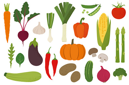 Vegetable garden. Vector.