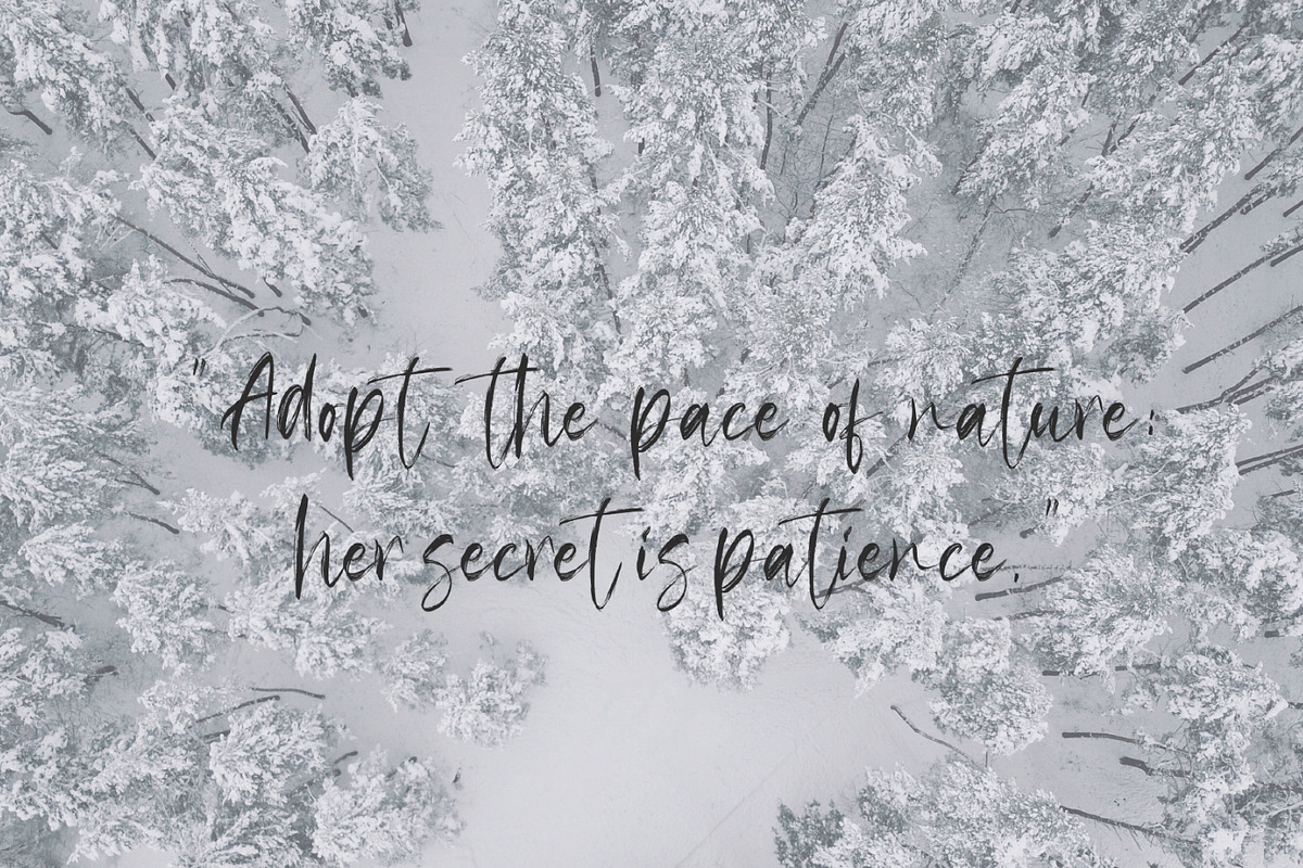 Klasted - Brush Font preview 8