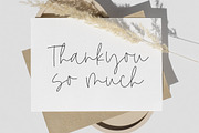 Dominate - Monoline Font, a Handwritten Font by Timurtype (Thumbnail 6 of 7)