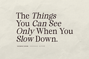 Surfside Paradise - Classy Serif, a Serif Font by Shakira Studio (Thumbnail 6 of 18)