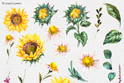 Sunflower rustic watercolor flowers, an Illustration by Depiano (Thumbnail 2 of 10)