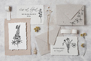 WILDFLOWERS Hand-drawn Line Art, a Seasonal Illustration by Navenzeles (Thumbnail 2 of 13)